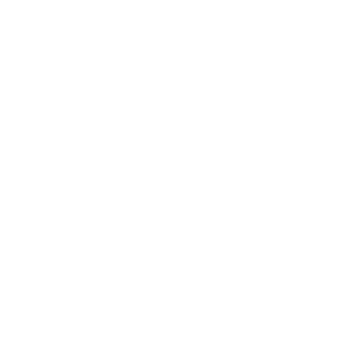 _SALT_TV_LOGO_CreativeAlly